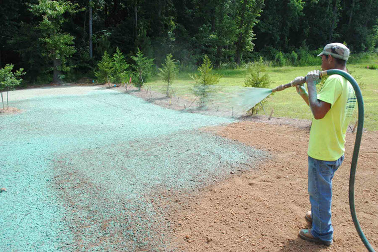 Hydroseeded soil stabilization area